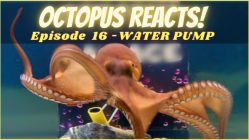 Is There Any Freshwater Octopus? - Octolab TV
